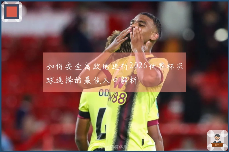 如何安全高效地进行2026世界杯买球选择的最佳入口解析