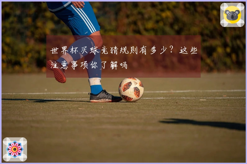世界杯买球竞猜规则有多少？这些注意事项你了解吗